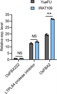 Unveiling the genetic architecture for lodging resistance in rice (Oryza sativa. L) by genome-wide association analyses